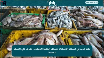 تغير جديد في أسعار الأسماك بسوق الجملة الأربعاء.. تعرف على السعر المحدث